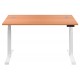 Olton Height Adjustable Straight Office Desk